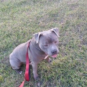 Meet your Posher, Richard